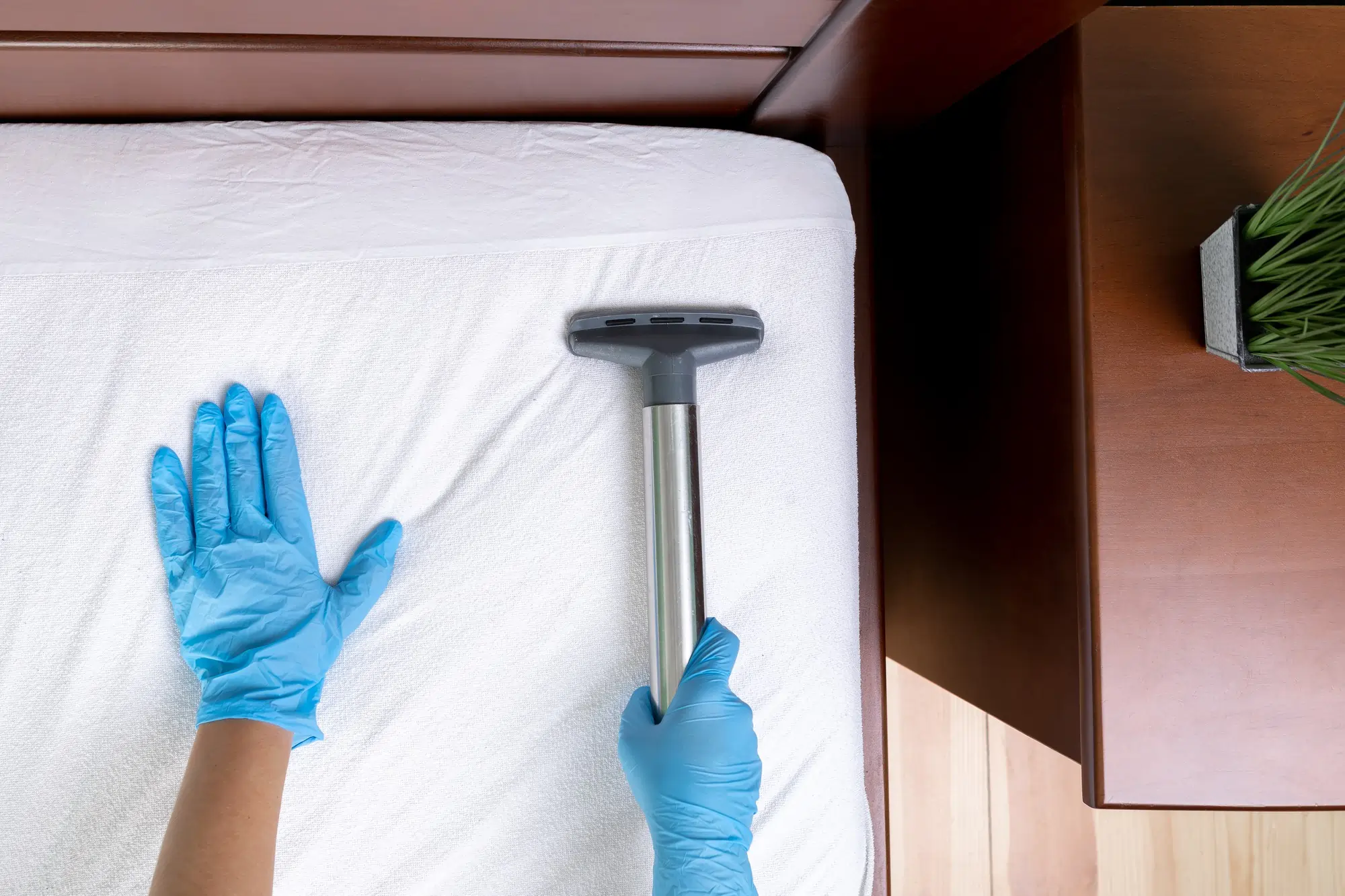 Preparing the house for the Airbnb guest
